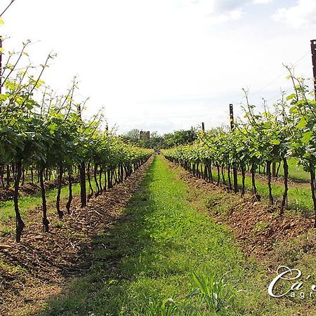 Agriturismo Ca'Mattei Pescantina Exteriér fotografie