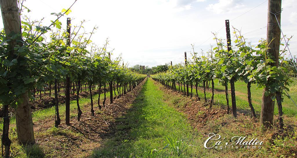Agriturismo Ca'Mattei Pescantina Exteriér fotografie