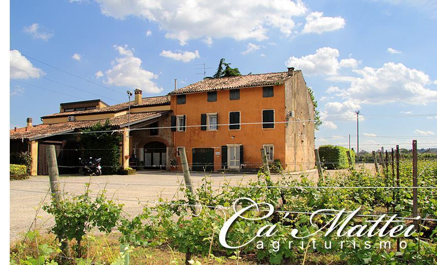 Agriturismo Ca'Mattei Pescantina Exteriér fotografie