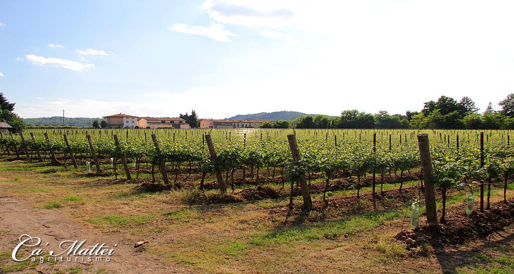 Agriturismo Ca'Mattei Pescantina Exteriér fotografie